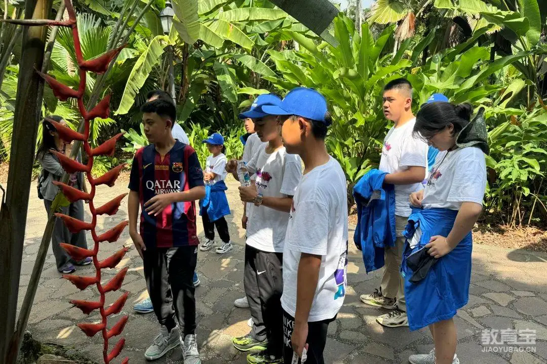 篮球力量训练计划表图片_2